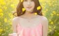 黄金罗盘有几部